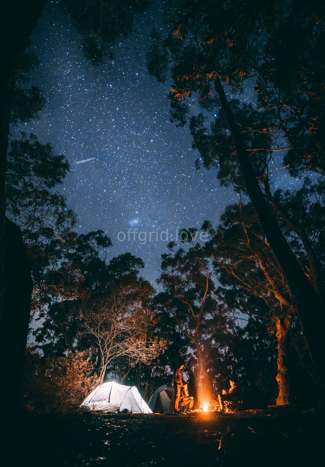 Wilderness Landscape