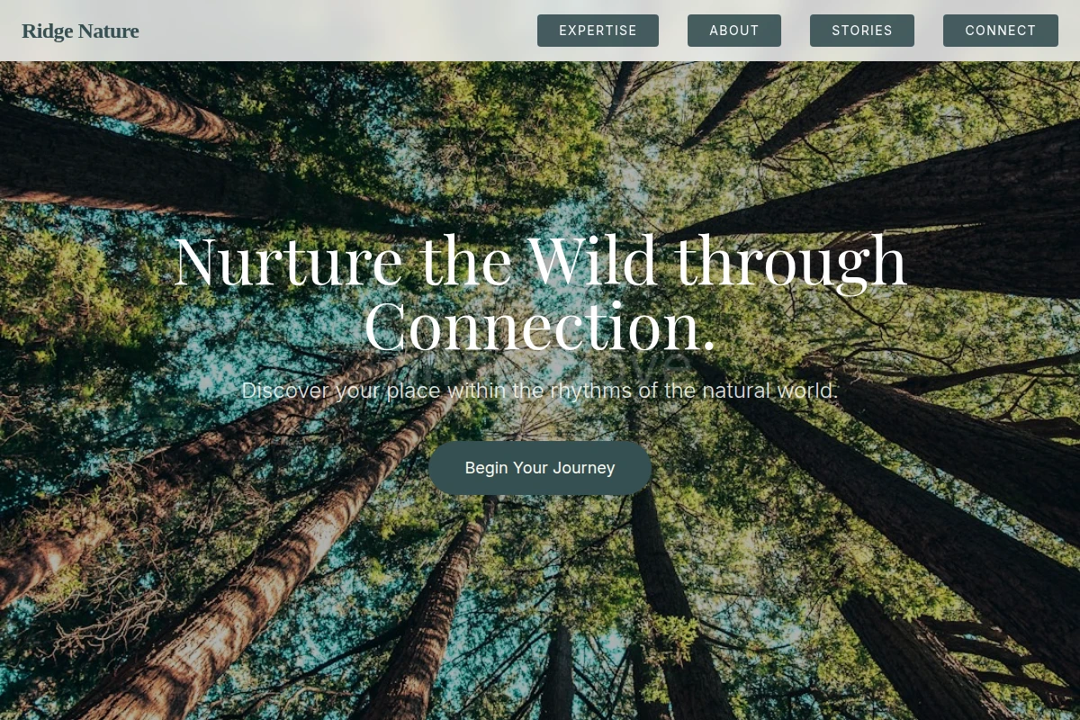 Ridge Nature