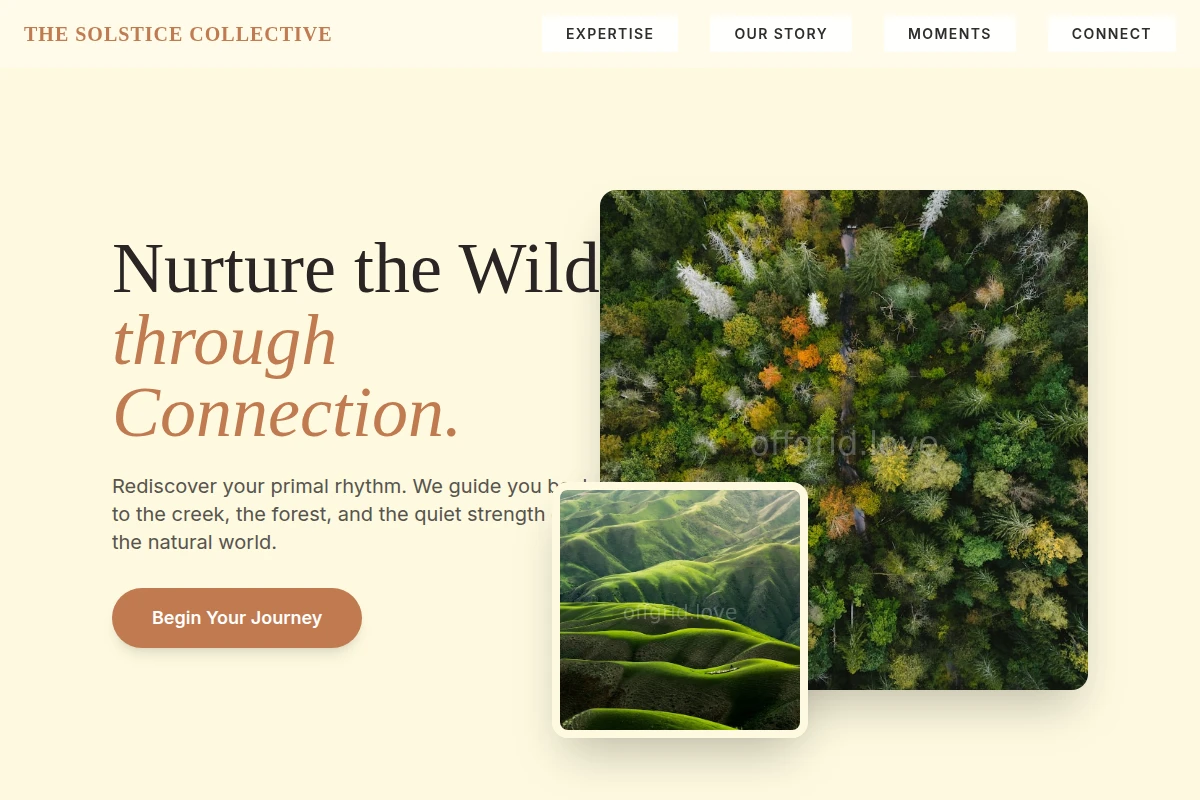 Creek Nature