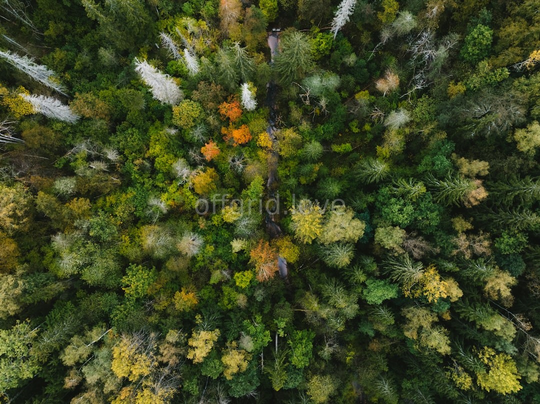 Botany Walks