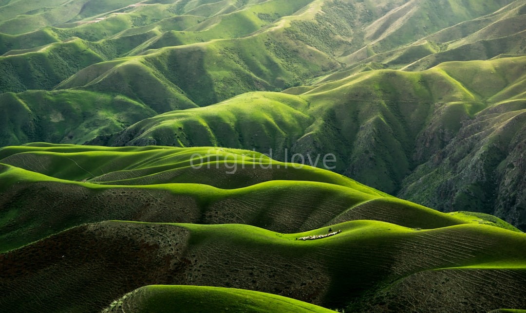 Nature Background